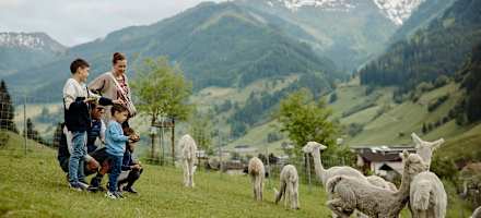 Wander- und Ferienhotel Alte Post