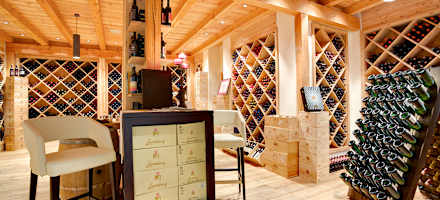 Pinot Noir: Trauben am Cobenzl