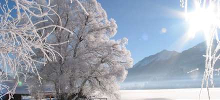 Ferienhof Neusacher Moser