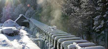 Alpengasthof Schuster