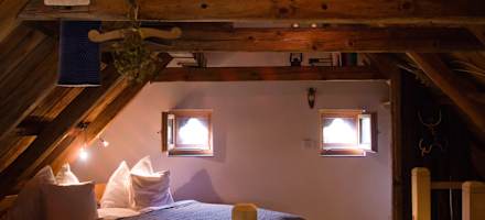 Bienenalm - Waldhaus & Ferienstadl