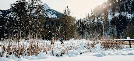 Bergwelten Tourenplanung Wandern Allgäu