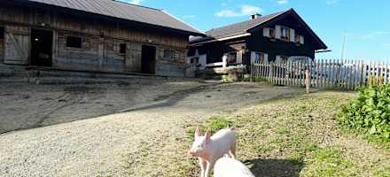 Die Poltenalm im Navistal