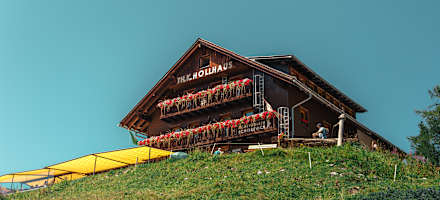 Das Hollhaus im Sommer