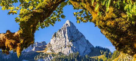 Blick auf die Lechtaler Alpen