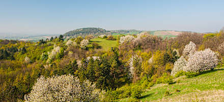 Naturpark Leiser Berge