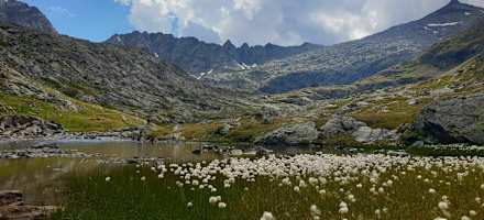 DIe Landschaft rund um die Hütte