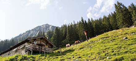 Ein herrliches Ausflugsziel