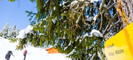 Mit den Tourenskiern zur Selbstversorgerhütte