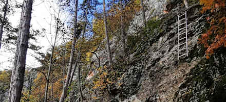 Der neue Bergkraxlersteig befindet sich oberhalb der Hütte.