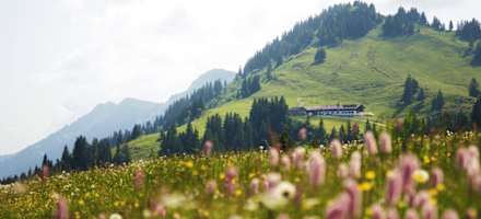 Die Falkenhütte im Sommer