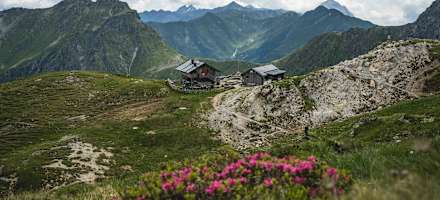Die Filmoor-Standschützenhütte mit blühenden Almrosen im Vordergrund.