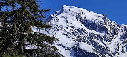 Blick auf den Ortler