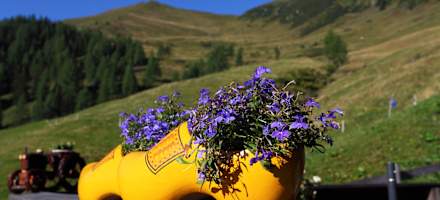 Blumenschmuck auf der Vorderkaseralm