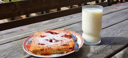 Selbstgemacht Kuchen und Milch direkt von der Alm