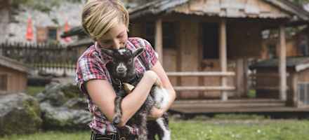 Gramai Alm Streichelzoo