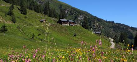 So wunderschön liegt die Harbachalm.