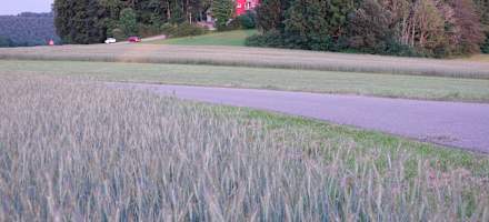 Blick auf Harpprechthaus