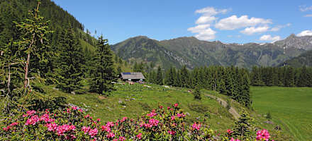 Hirschgrubenalm