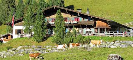 Hüllensteinhütte: Sommer