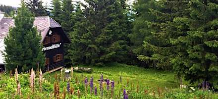 Die Zirbenwaldhütte ist eine urige und gemütliche Selbstversorgerhütte im steirischen Gebiet der Lavanttaler Alpen.