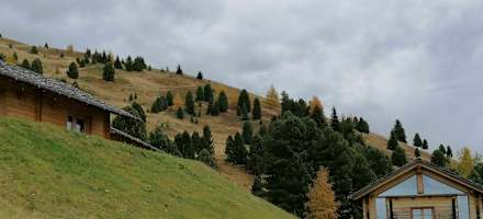 Chalets bei der Schatzerhütte