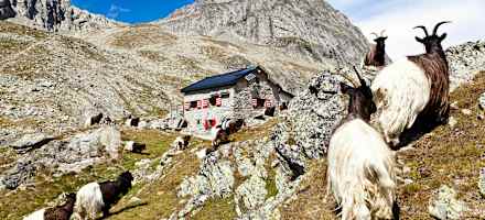 Die Wiwannihütte ist ein ausgezeichneter Ausgangspunkt für Wanderungen.