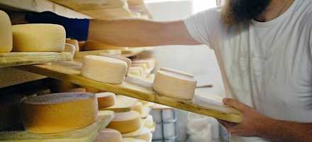 Im Käsekeller der Penaudalm