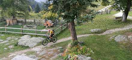 Leiteralm am Meraner Höhenweg