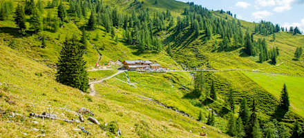 Die Loosbühelalm (1.769 m) bietet Almidylle im Ellmautal, einem Seitental des Großarltals.
