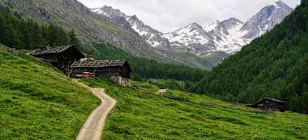 Weg zur Mitterkaseralm