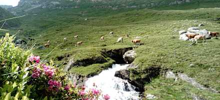 Wasserfall unterhalb der Lanischseen