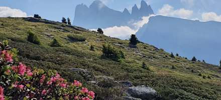 Panorama Raschötzhütte