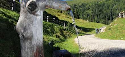 Brunnen bei der Alm