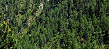 Das Sandig Haus ist Sommer und Winter gut erreichbar.