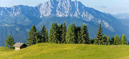 Sattlegers Alpenhof auf der Emberger Alm 