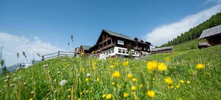 Sattlegers Alpenhof Sommer