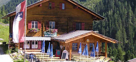 Die Steineralm im Sommer