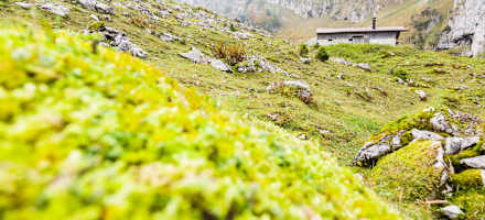 Aufgrund der leicht zugänglichen Lage eignet sich die Hütte auch für Familien und Kinder