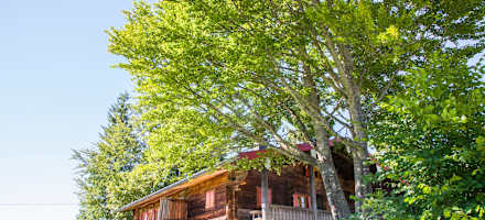 Die Winkelmoosalm-Hütte steht, wie auch die Winklmooshütte, auf der Winkelmoosalm, idyllisch in den Chiemgauer Bergen an der deutsch-österreichischen Grenze in Bayern. 