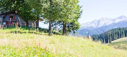 Die Winklmoosalm ist eine Selbstversorgerhütte des Alpenverein München & Oberland