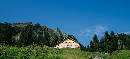 Alpengasthaus Edelweiß