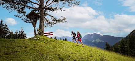 Wanderung zur Achentalalm in der Wildschönau
