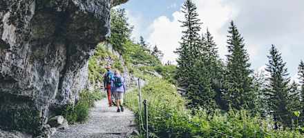 Zustieg zum Berggasthof