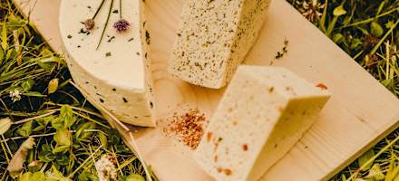 Wunderbare Käsespezialitäten auf der Alexanderalm