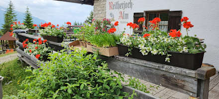 Reitherjoch Alm