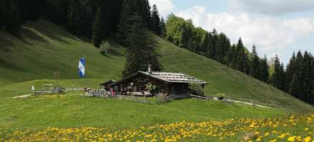 Die Alpe Gschwenderberg im Frühling