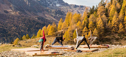 Unsere Yoga-Plattform oberhalb der Alpe