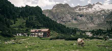 Die Alpenrosenhütte liegt auf 1.878 m im hintersten Zillertal in Tirol.