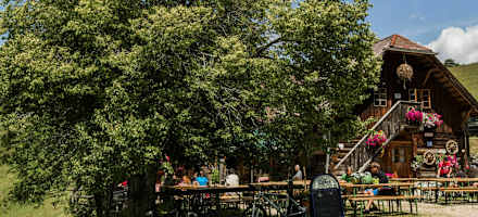 Mitten im Grünen steht die Alm